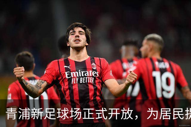 青浦新足球场正式开放，为居民提供便捷运动空间